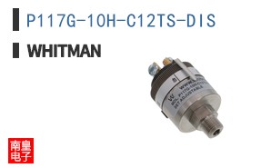 P117G-10H-C12TS-DIS ͼƬ